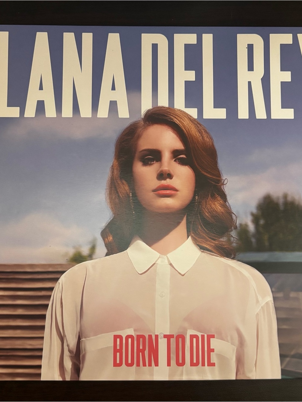 Lana Del Rey Vinyl